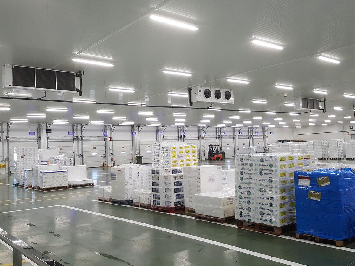 Cold-Chain Industry